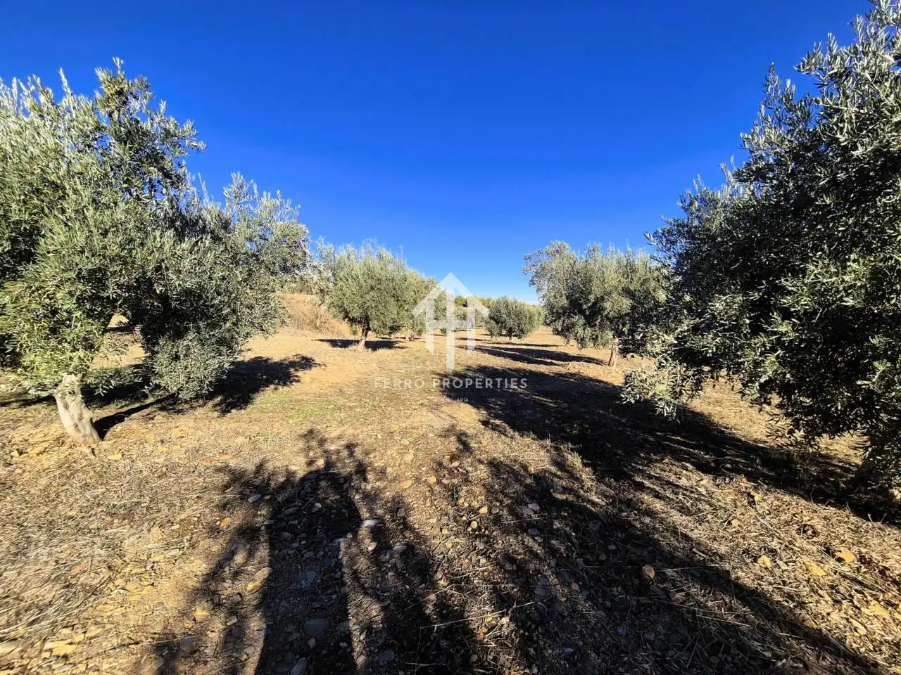 Lands and plots for sale in Lanteira, imagen 11