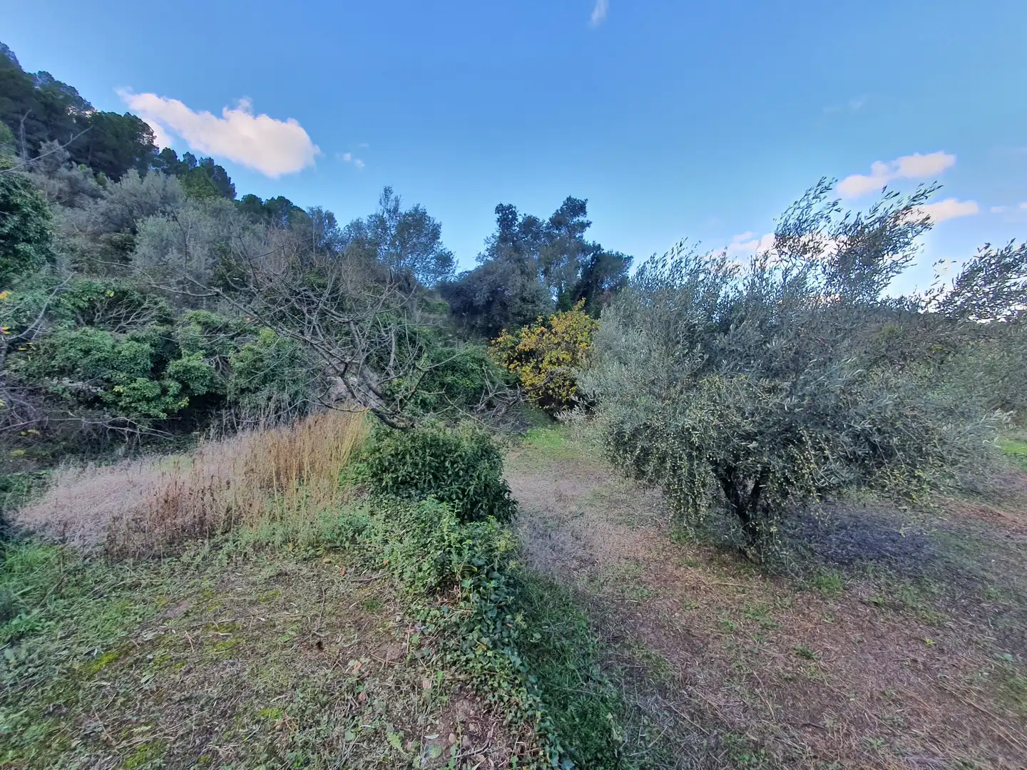 Casa en venta en Benifallet, imagen 53