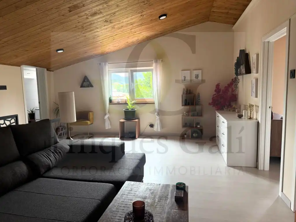 Sala d'estar de Casa o xalet en venda en Castellbell i el Vilar amb Aire condicionat, Terrassa i Forn