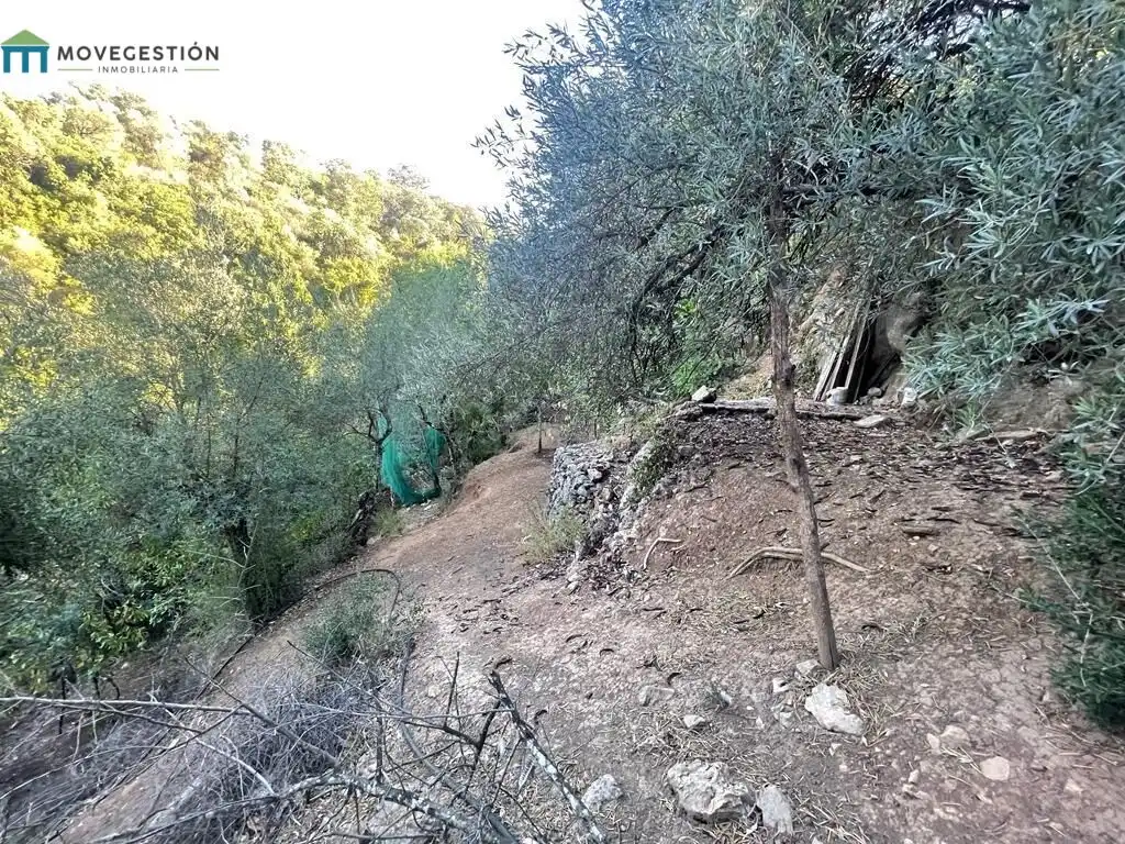 Finca rústica en venta en Benaocaz con Jardín privado, Terraza y Trastero
