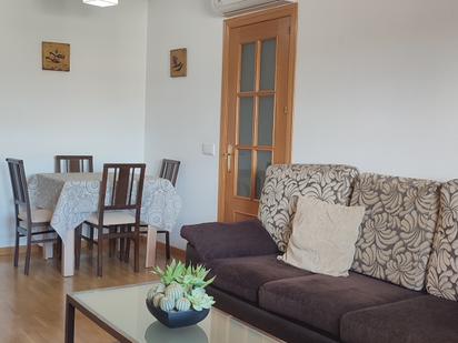 Living room of Flat for sale in Ciudad Real Capital  with Air Conditioner and Terrace