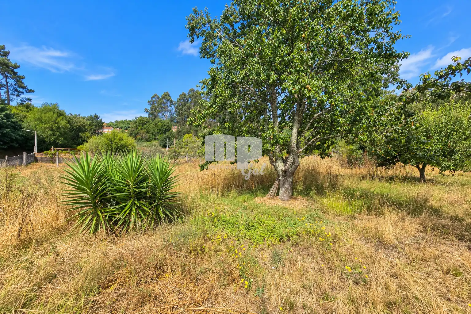 Xalet amb jardí en venda a Camiño do sapal, imagen 38