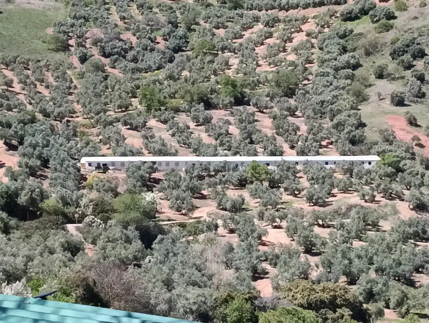 Finca rústica en venda en Chiclana de Segura, Jaén