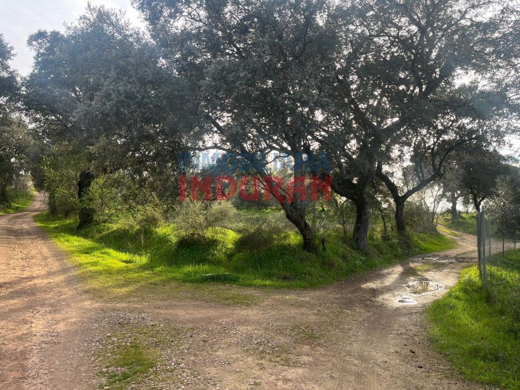 Country house for sale in Millanes