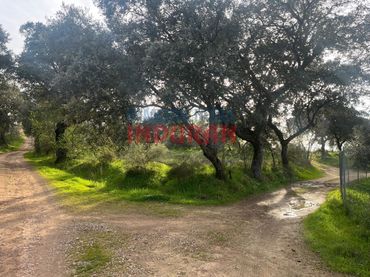 House for sale in Millanes