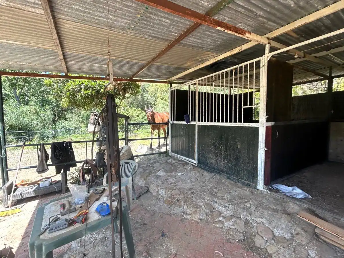 Vista exterior de Finca rústica en venda en San Martín del Tesorillo amb Terrassa