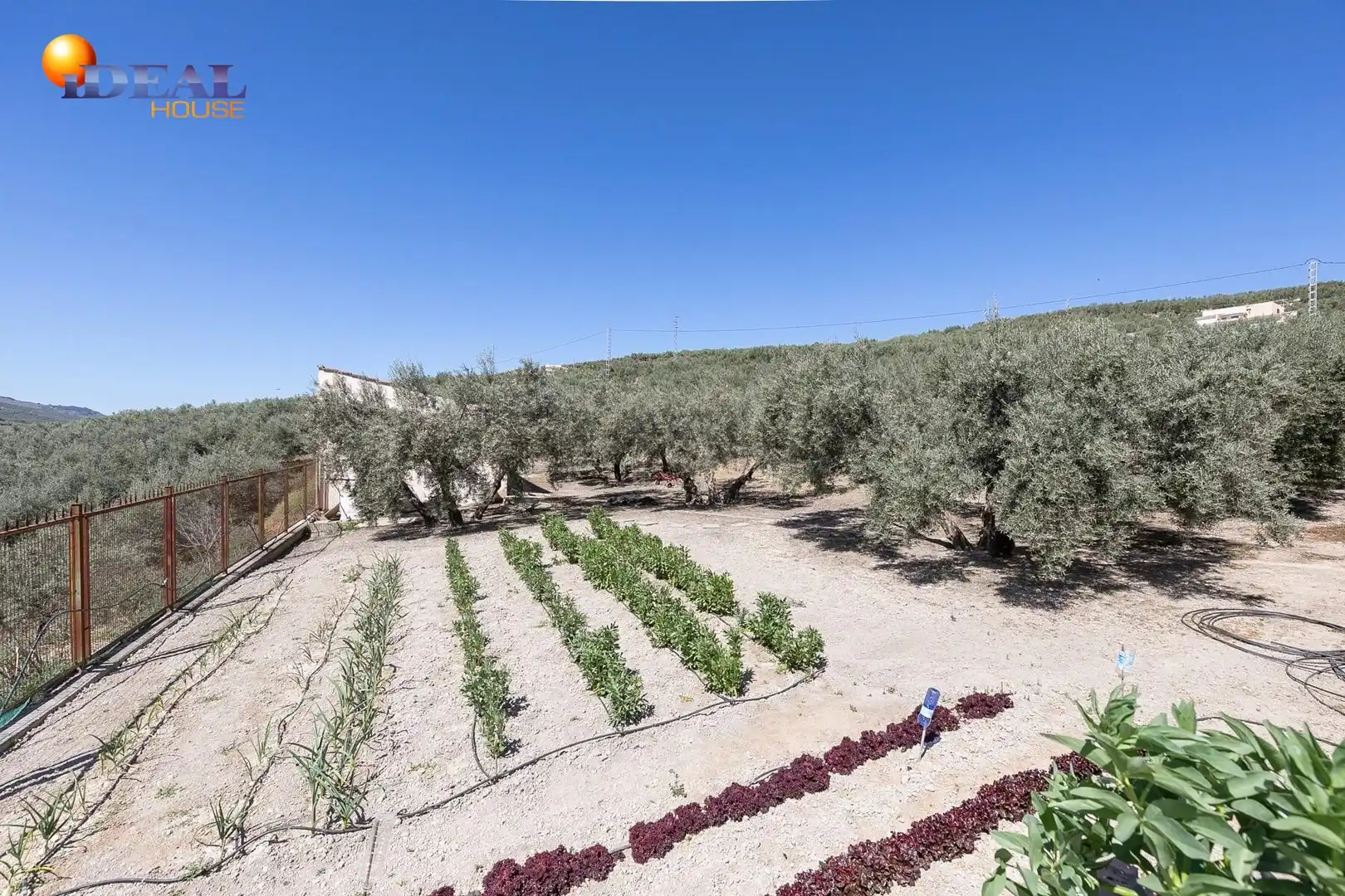 Casa rustica con terrazza in vendita a Montefrío, imagen 42