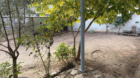 Photo 4 of Flat for rent in Almansa, Albacete