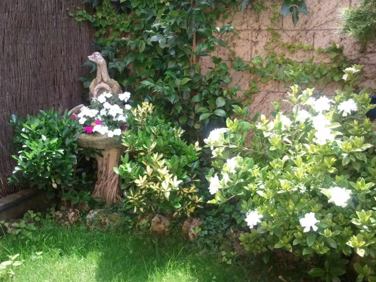 Garten von Einfamilien-Reihenhaus zum Verkauf in Sabadell mit Klimaanlage, Heizung und Privatgarten