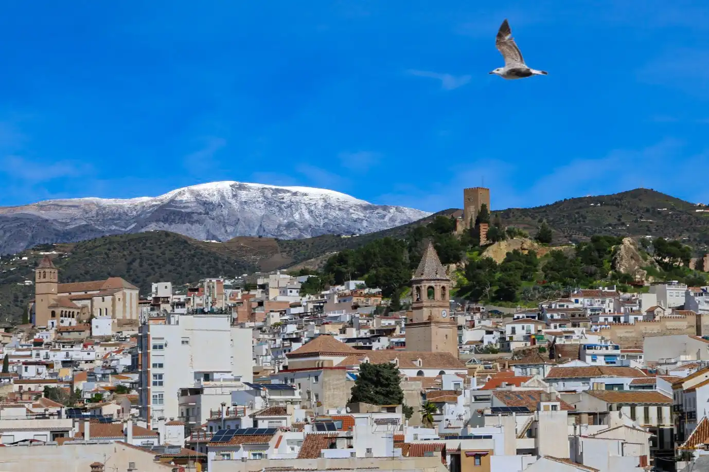 Außenansicht von Wohnung zum Verkauf in Vélez-Málaga mit Terrasse und Möbliert