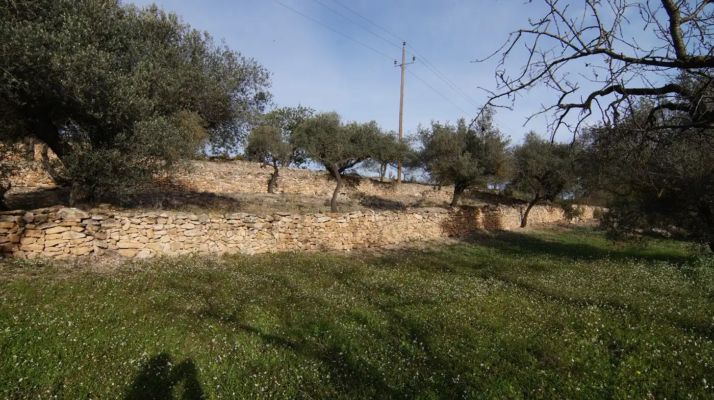 Terrain rustique à vendre à Rasquera, imagen 15