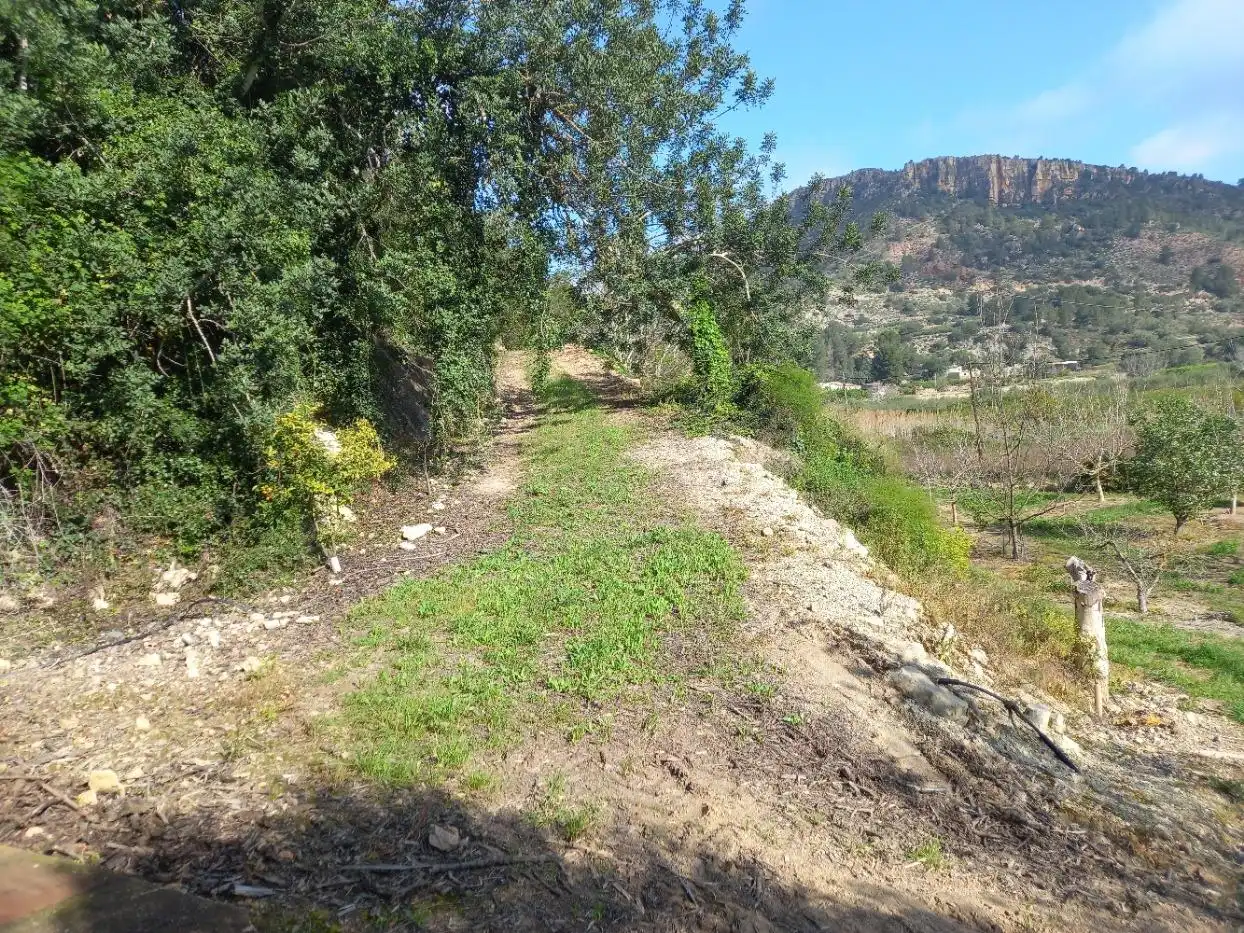 Terreny rústic en venda a Miravet, imagen 13