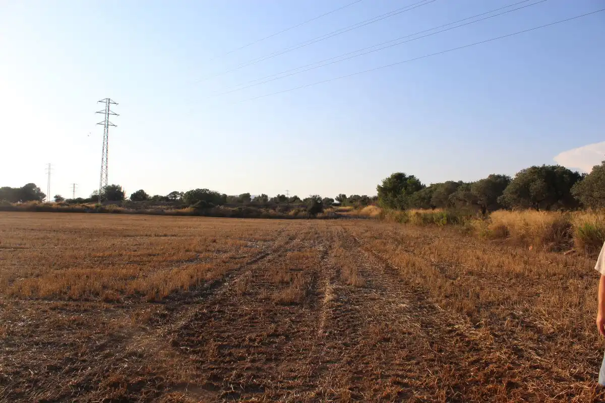 Terreno rústico en venta en Banyeres del Penedès, imagen 4