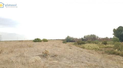 Foto 2 de Finca rústica en venda a Carretera Guillena, Guillena pueblo, Sevilla
