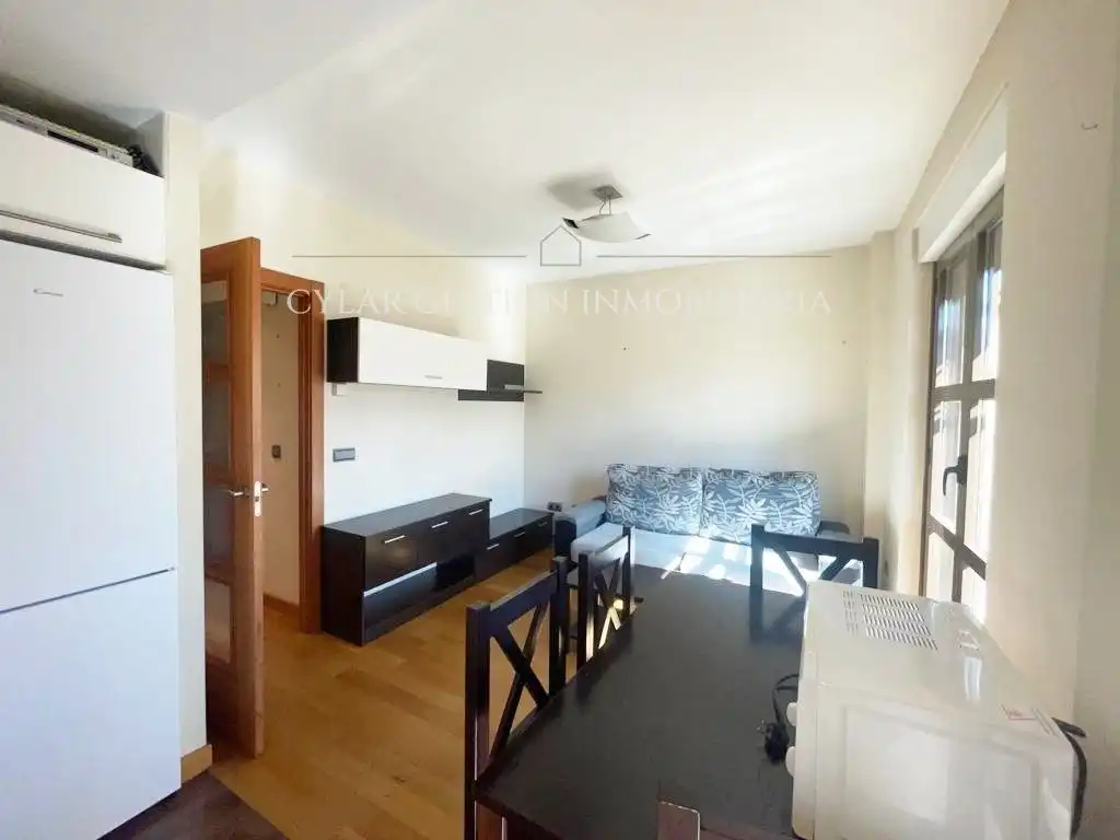 Sala de estar de Piso de alquiler en Salamanca con Calefacción, Parquet y Amueblado