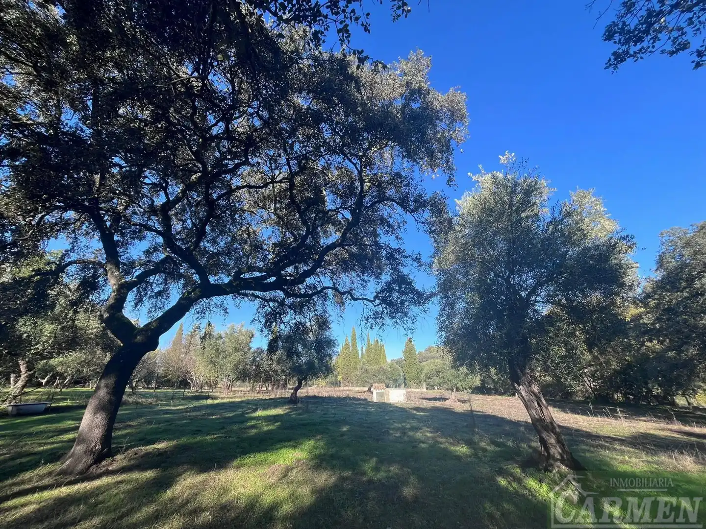 Finca rústica en venda en El Bosque
