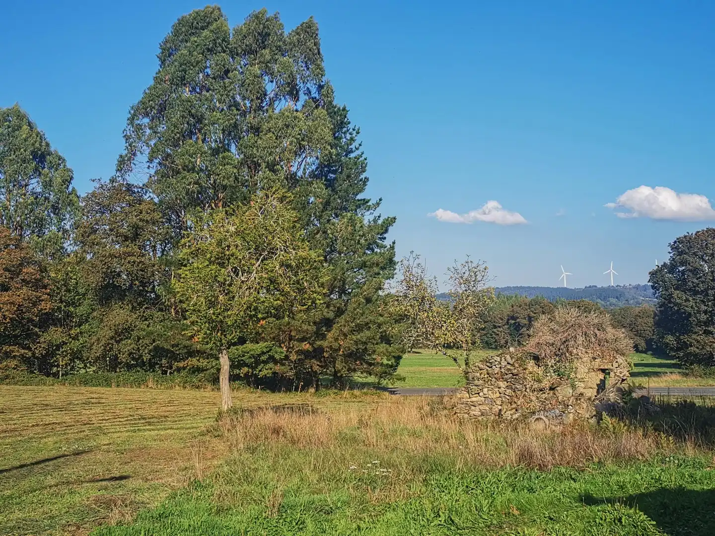 Haus oder Chalet zum Verkauf in Guitiriz mit Privatgarten