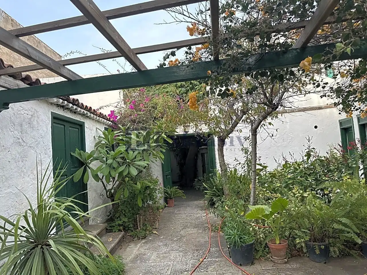 Vista exterior de Finca rústica en venta en Arico