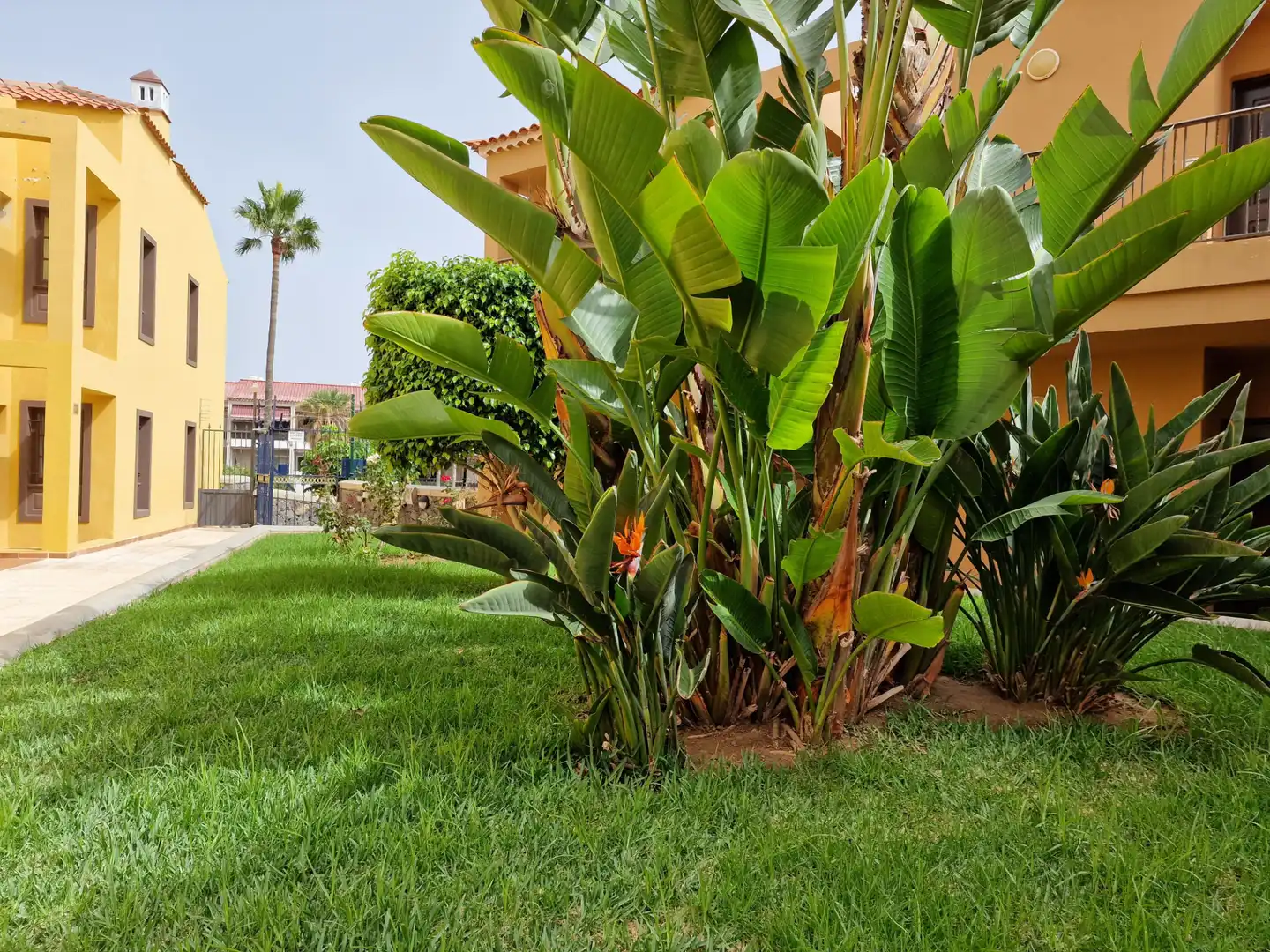 Apartamento de alquiler en Calle Minerva, Costa del Silencio