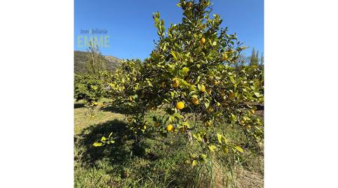 Photo 5 of House or chalet for sale in Jimera de Líbar, Málaga