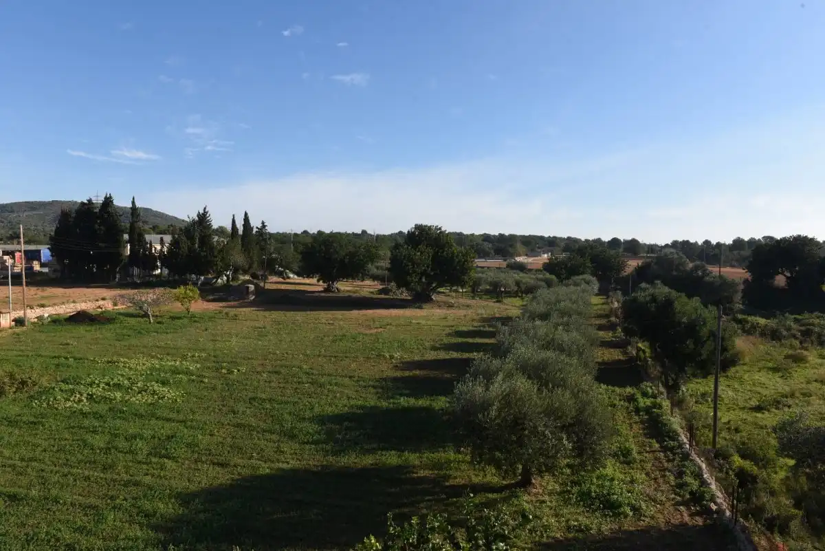 Finca rústica en venda en Roda de Berà amb Aire condicionat, Calefacció i Jardí privat