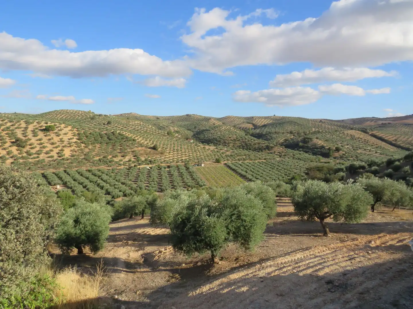 Country house zur Miete in Íllora, Granada