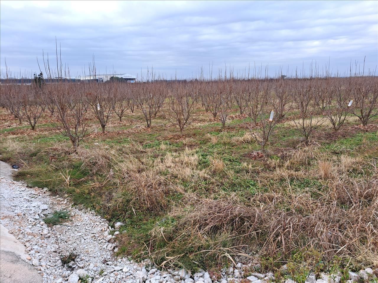 Residencial en venda a Guadassuar