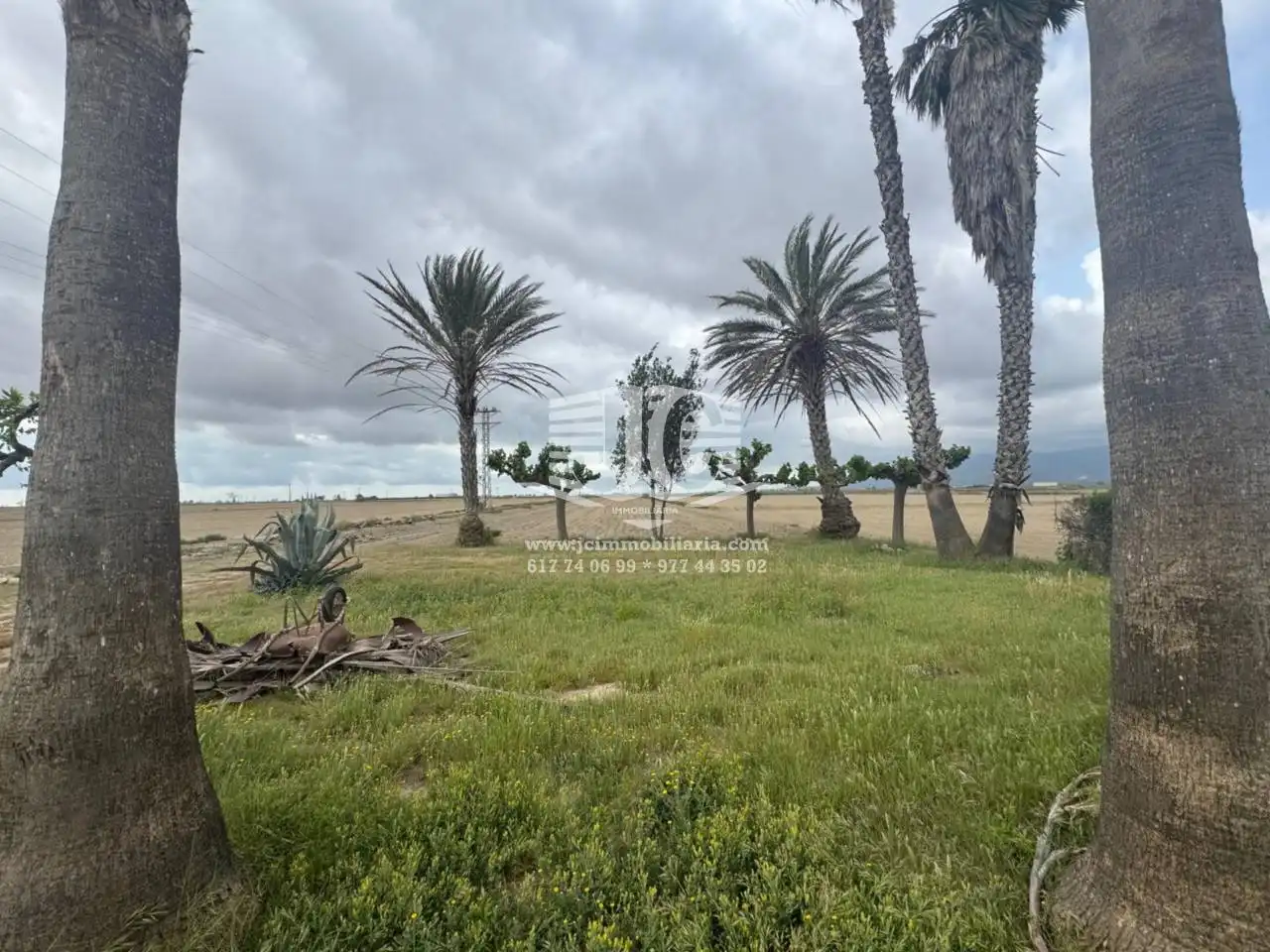 Casa o chalet en venta en Amposta con Jardín privado, Terraza y Amueblado