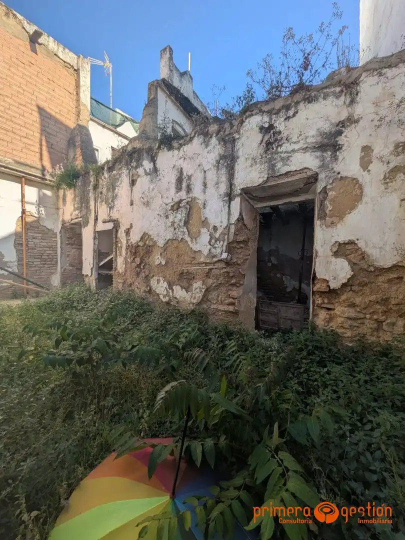 Vista exterior de Casa o xalet en venda en Carmona amb Aire condicionat i Calefacció