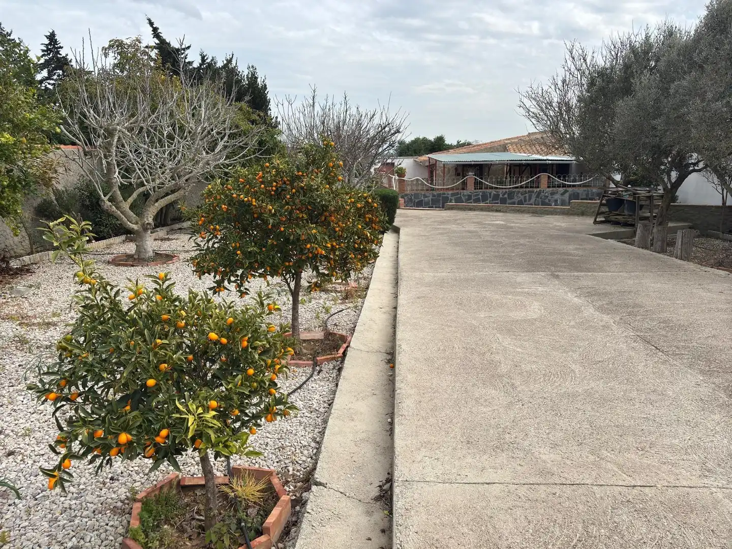 Casa rústica amb jardí en venda a Vejer, imagen 31