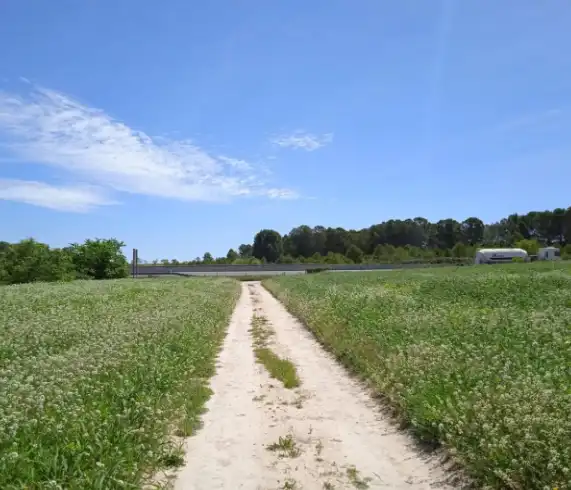 Terreno rustico in vendita a Agullent, imagen 5