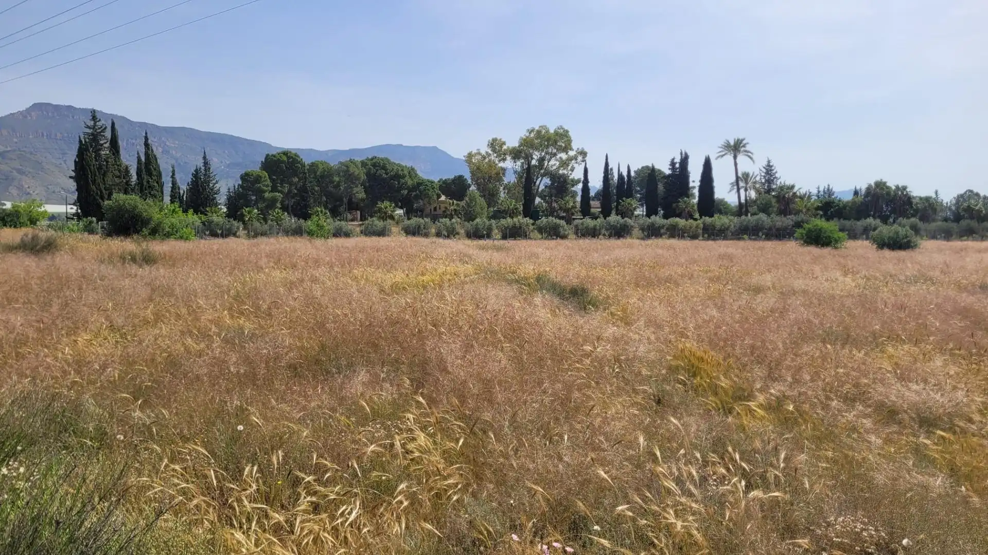 Terreno en venta en Blanca