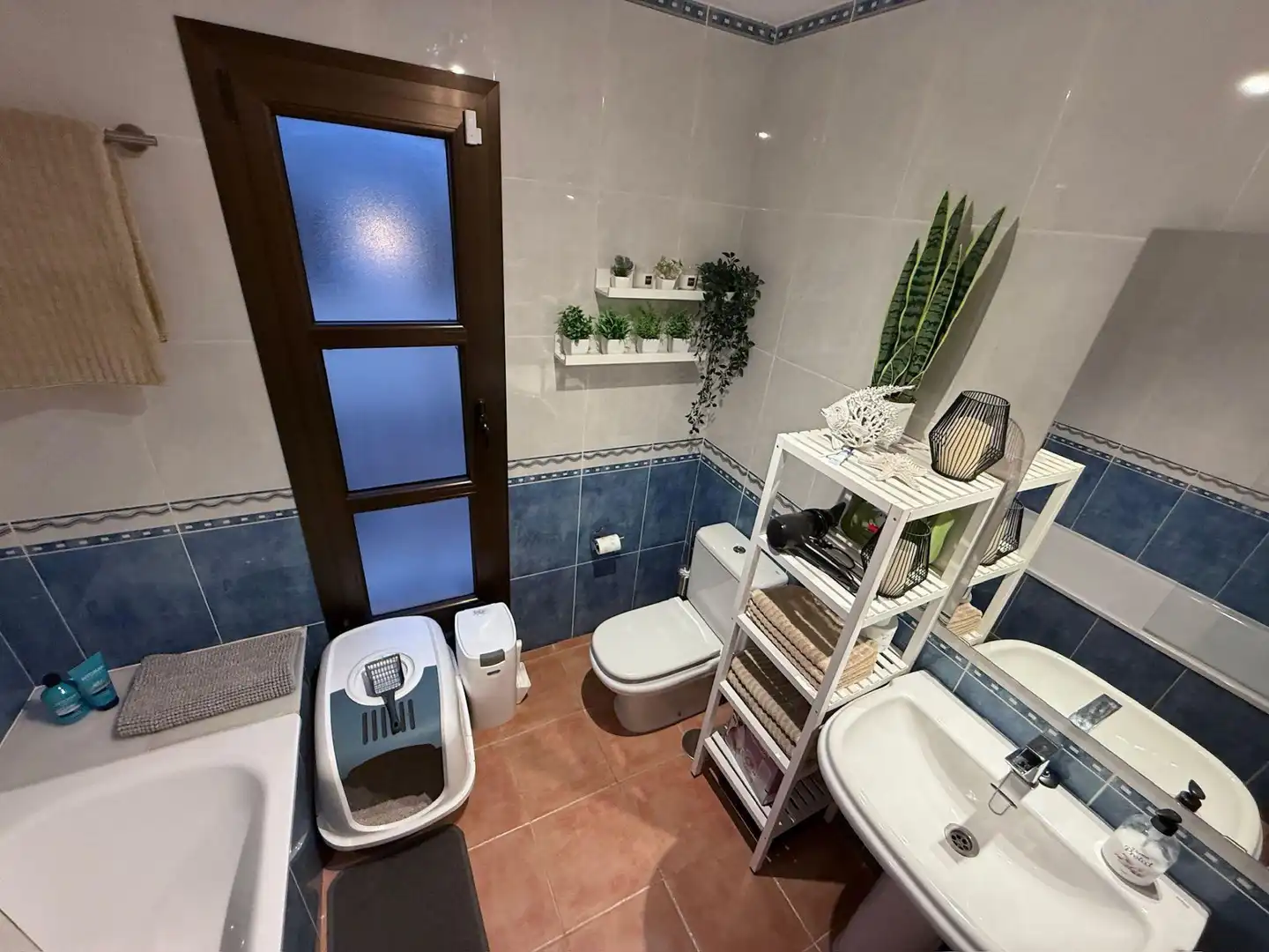 House with pool for sale in Triquivijate, imagen 46