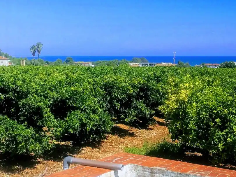 Terrain rustique à vendre à Carrer del Mar 77, imagen 11