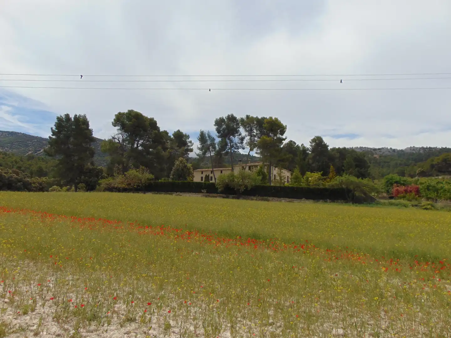 Casa rustica con piscina in vendita a Partida Polop Baix, imagen 97