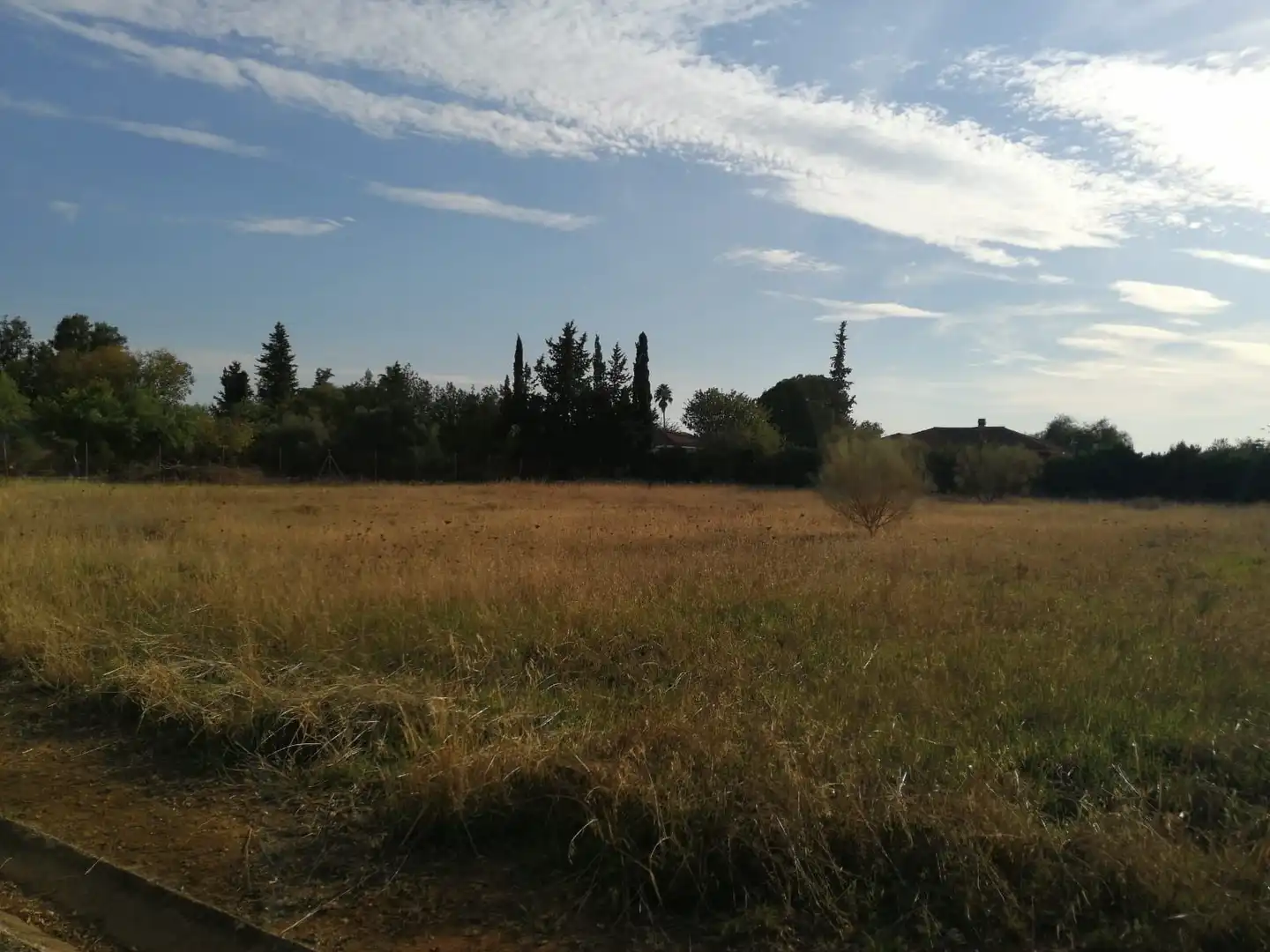 Terrenys i solars en venda a Carmona, imagen 6