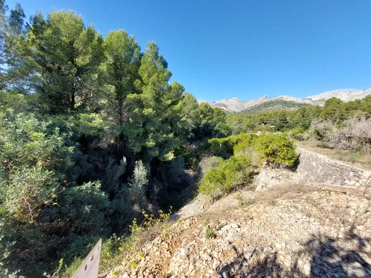 Terreny rústic en venda a Tormos, imagen 14