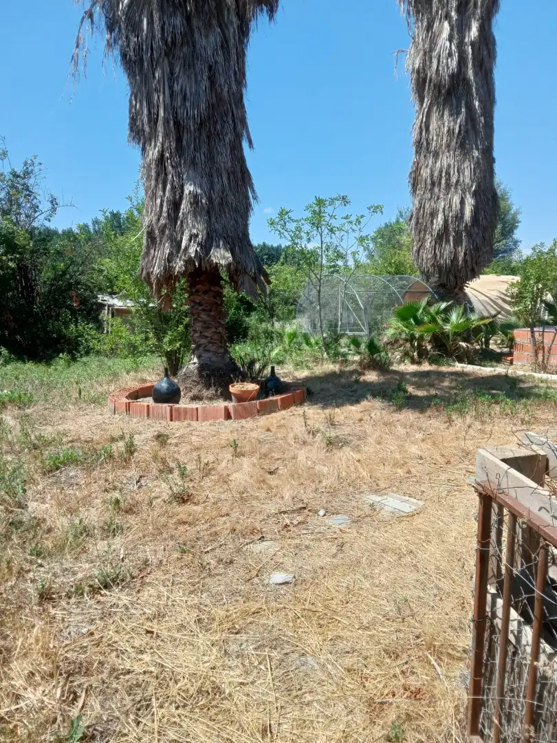 Terrains et parcelles à vendre à Fuente Vaqueros, imagen 3