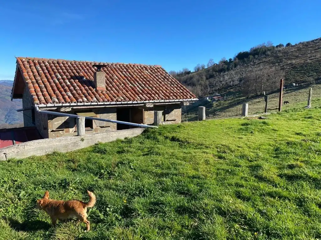 Lands and plots for sale in Lena, imagen 9