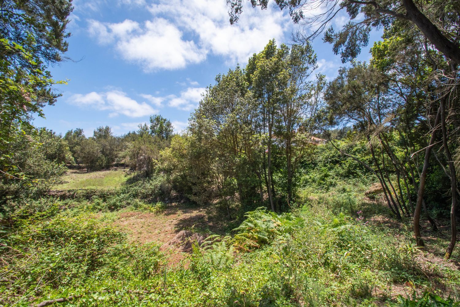 Grundstücke zum verkauf in El Tanque