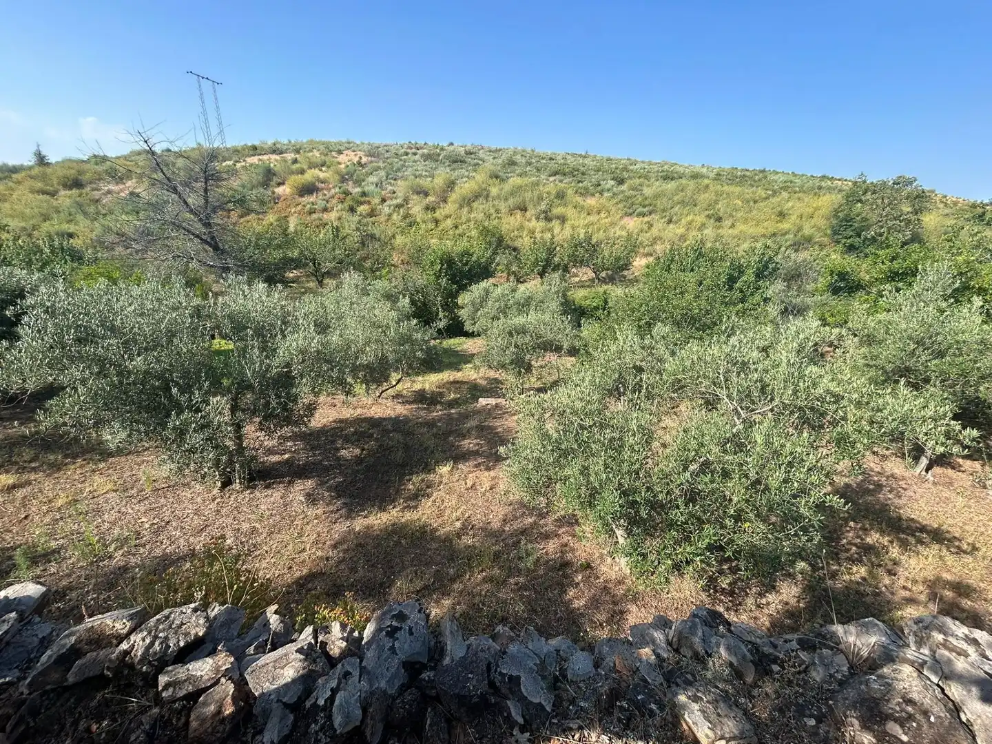 Rural land for sale in Torre de Don Miguel, imagen 6