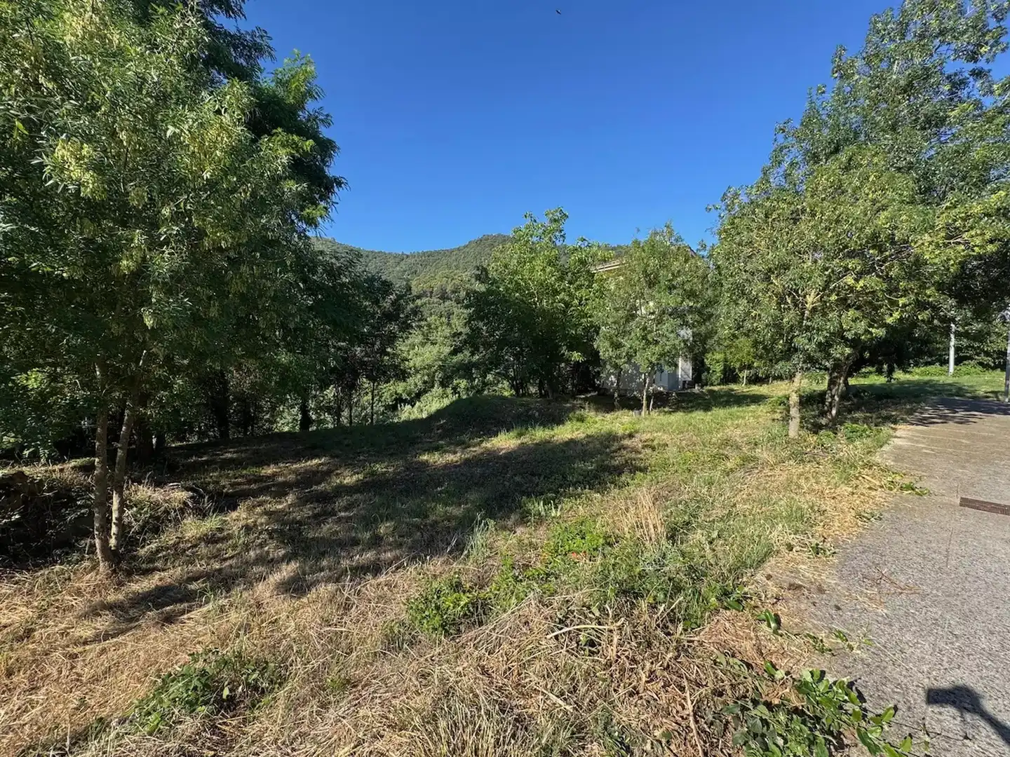 Terreno residencial en venta en Besalú, imagen 5