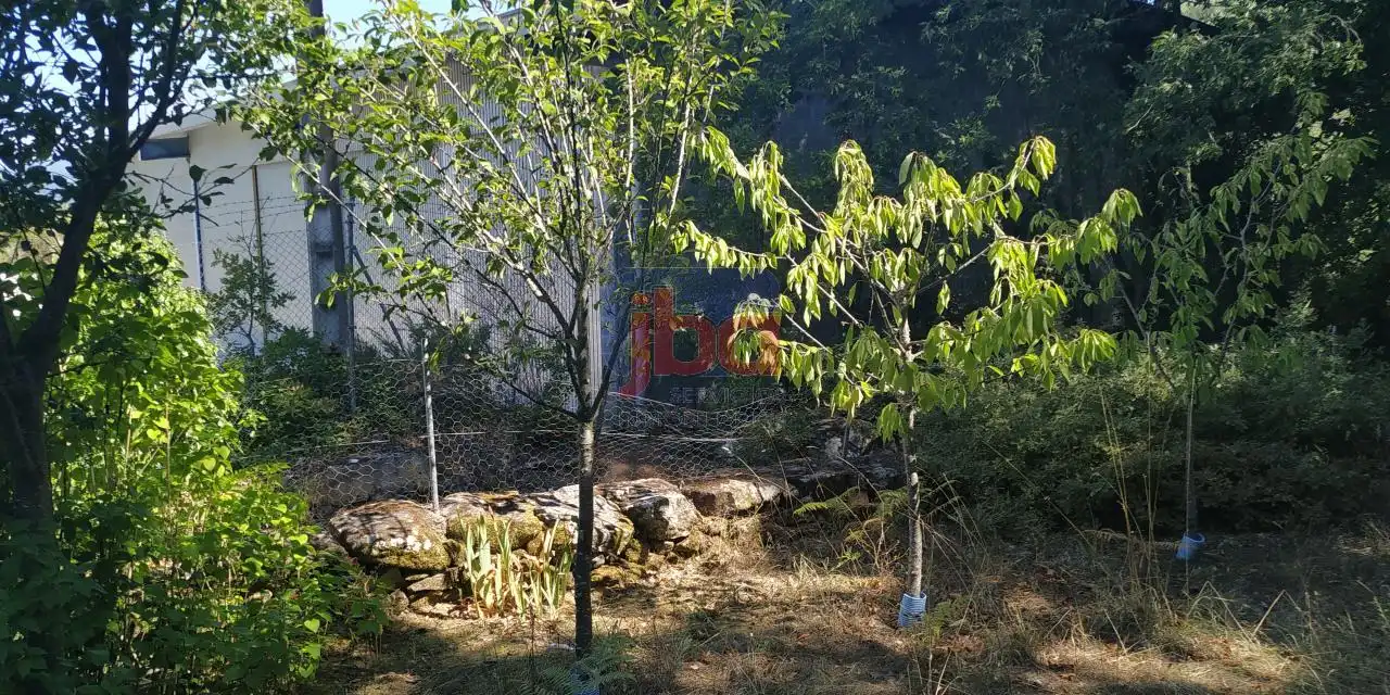 Terreni e lotti in vendita a O Pereiro de Aguiar, imagen 10