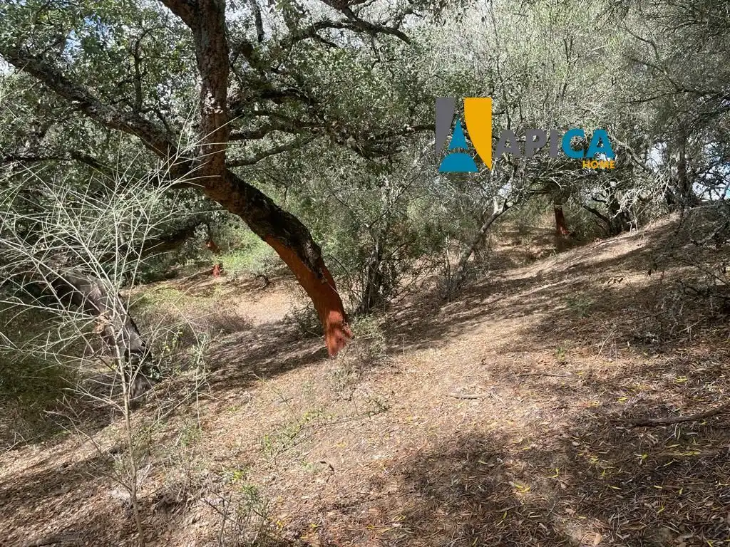 Terreni e lotti in vendita a Vejer, imagen 5