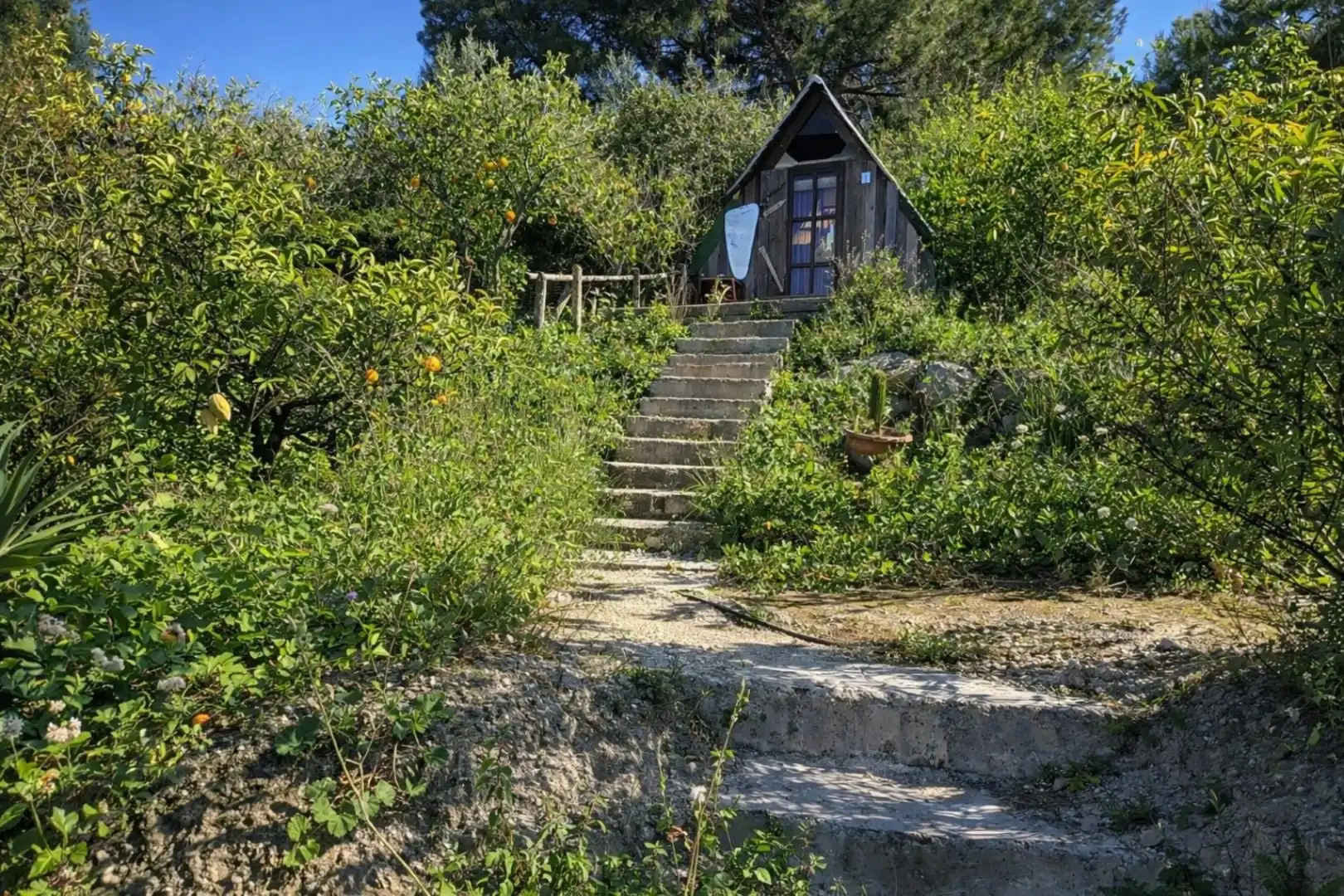 Rural land for sale in Carrer Trinquet 7, imagen 5