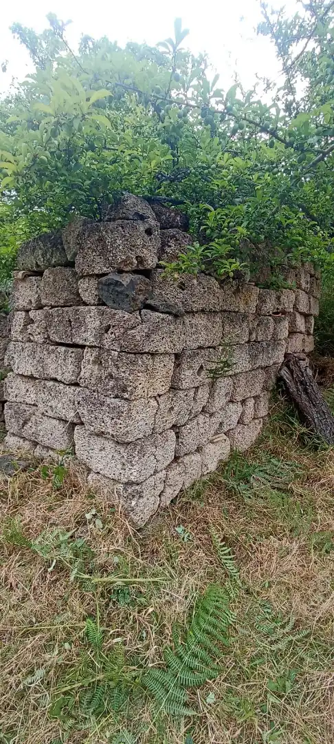 Terreny rústic en venda a El Sauzal