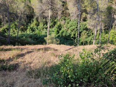 Terreno residenziale in vendita a Avinguda del Taió