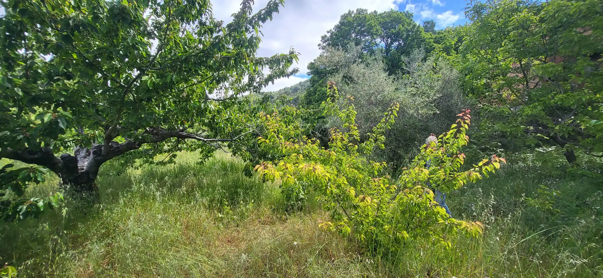 Grundstücke zum Verkauf in Villar de Plasencia