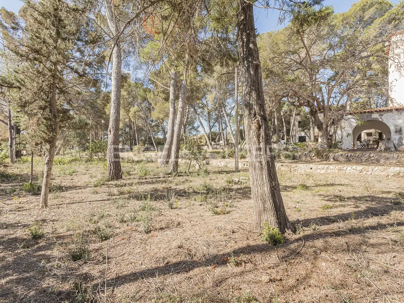 Maison à vendre à Passatge dels pins, imagen 28