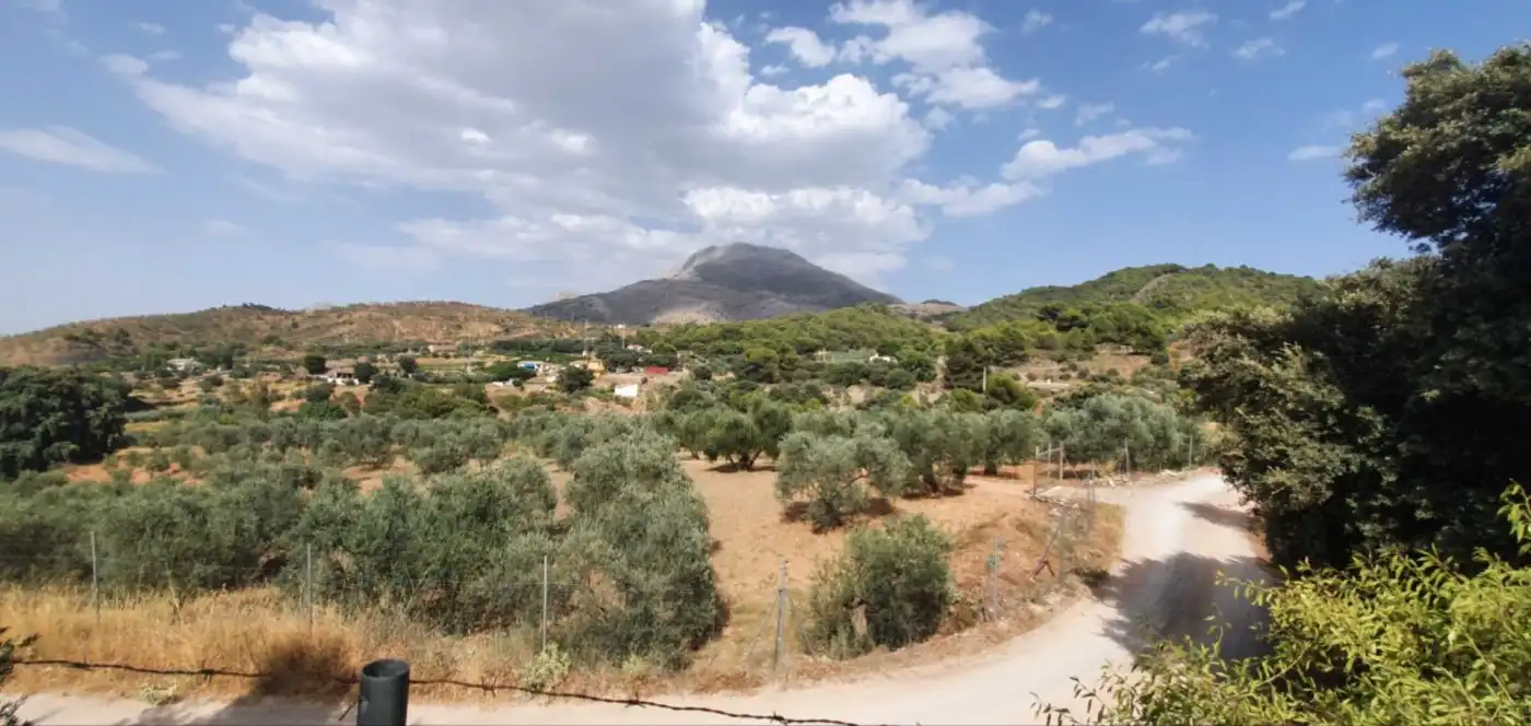 Terreni e lotti in vendita a Yunquera, imagen 21